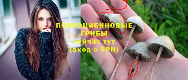 2c-b Балахна
