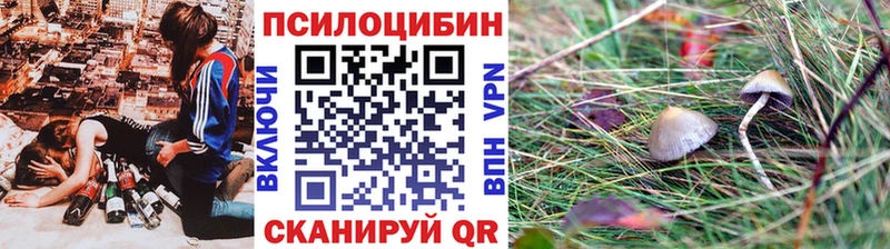 Галлюциногенные грибы Cubensis  Кулебаки 
